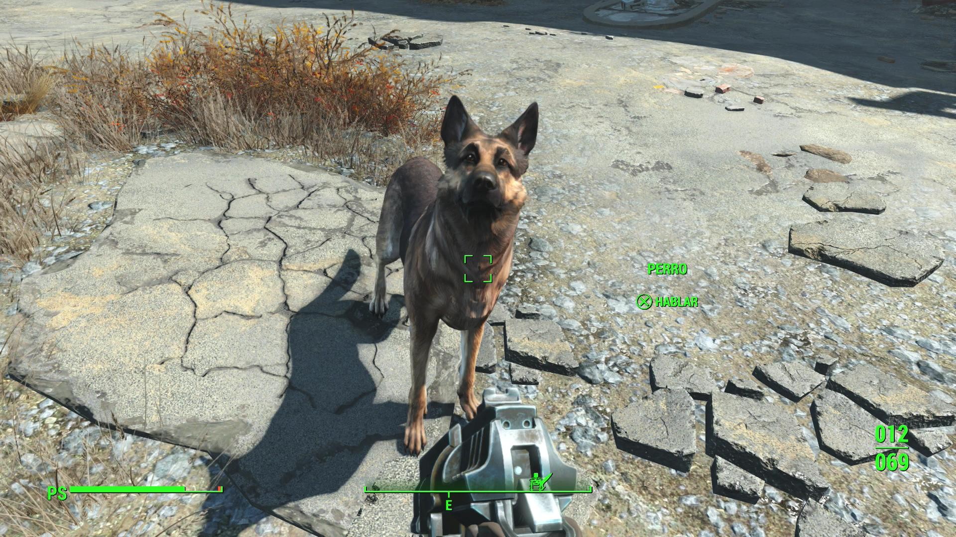 Fallout 4 вызвать псину фото 13