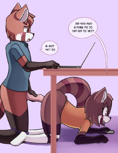 Cartoon N Furrys Porn Brother And Sister - Negativefox - Red Panda Siblings