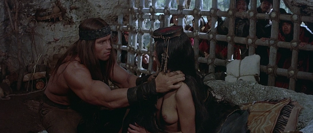 Конан-варвар / Conan the Barbarian (1982) BDRip-AVC от HELLYWOOD P.